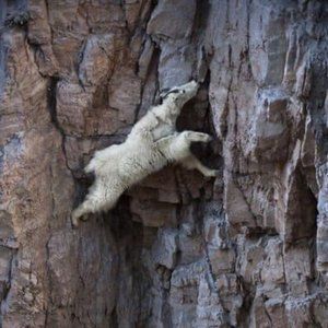 Meet your Posher, Aaron